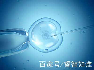 本院简介